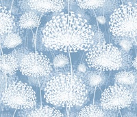 Dandelions blue papiers peint