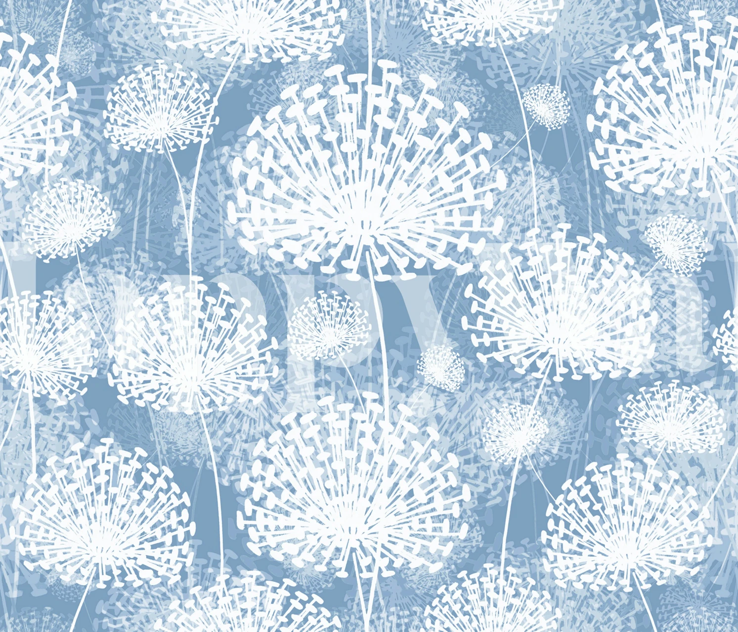 White dandelion flowers on blue background wallpaper