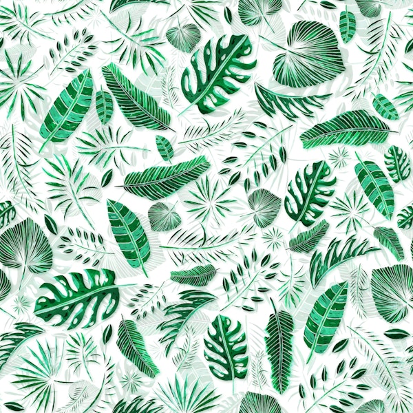 Exotic Palm Leaves