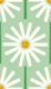 Happy Daisy green