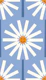 Happy Daisy blue