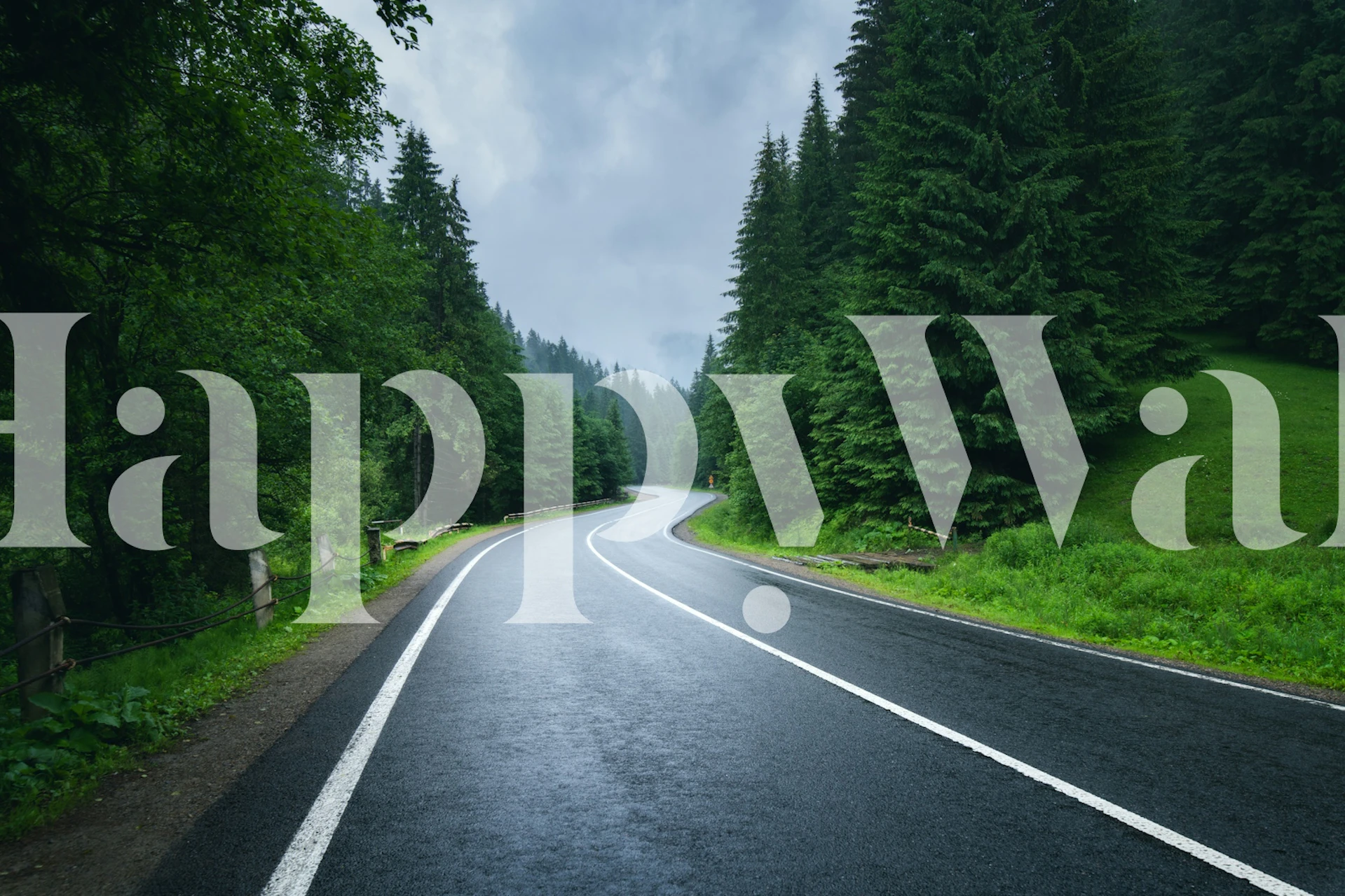Curvy road lined with lush green trees and grass wallpaper