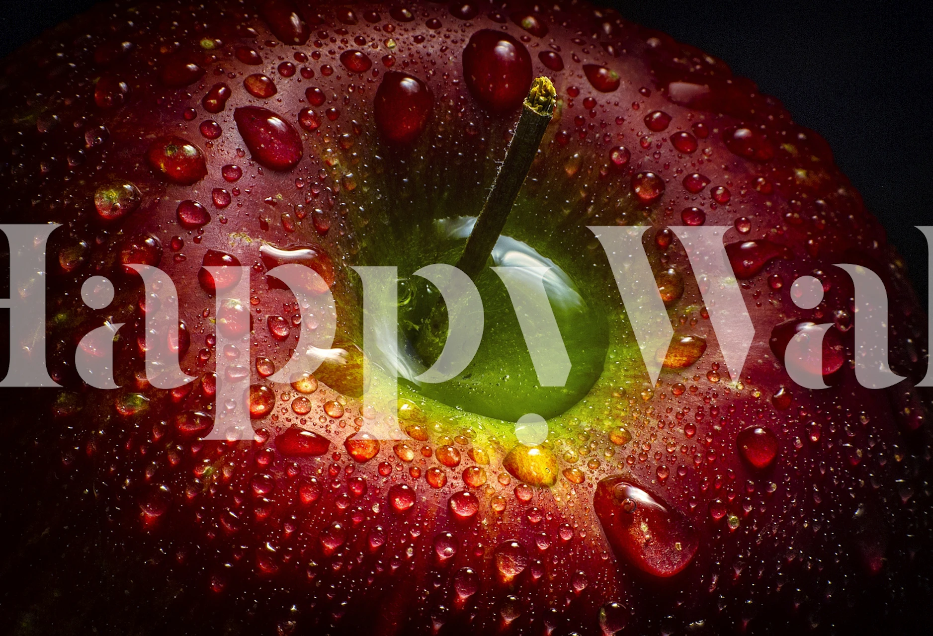 Red apple with droplets on display