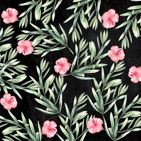 Delicate Hibiscus Black