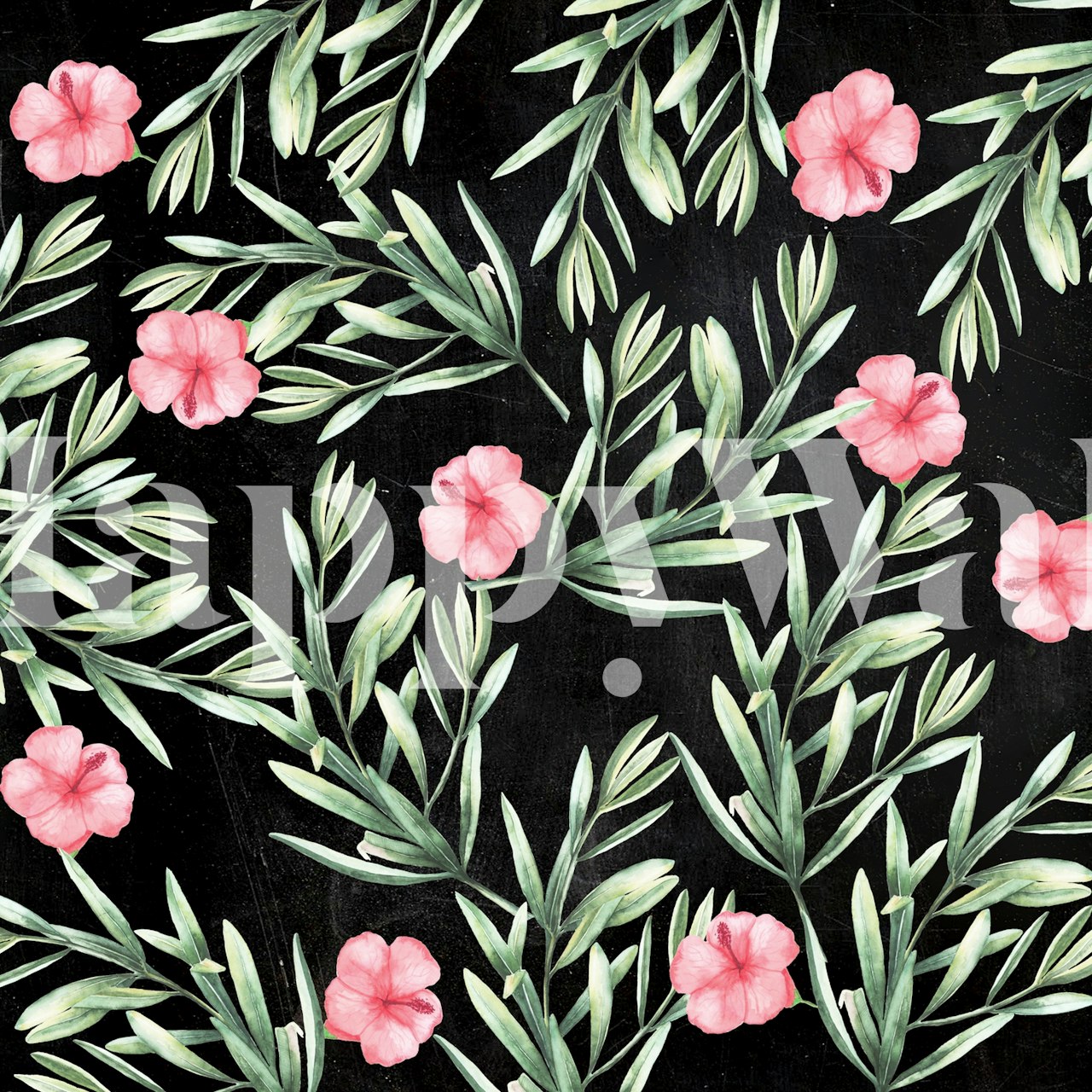 Pink hibiscus flowers and green leaves on black wallpaper