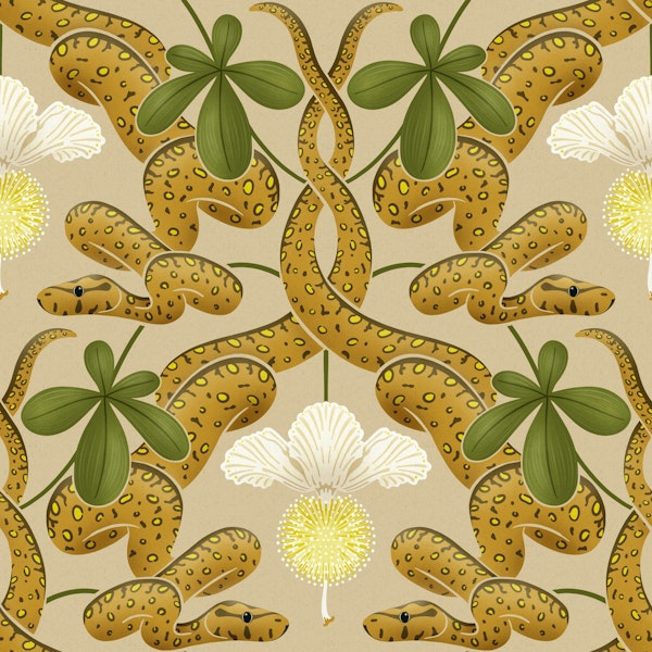 Snakes in the boabab tree beige