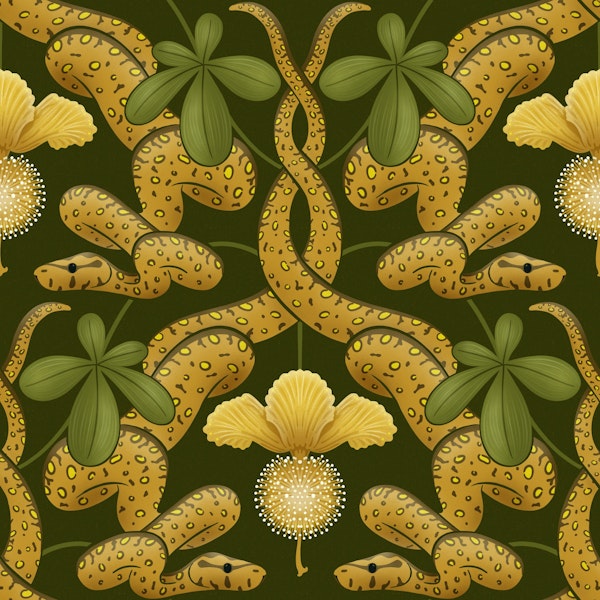 Snakes in the boabab tree moody green