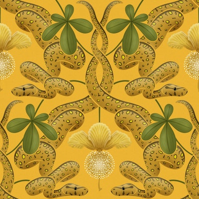 Pattern