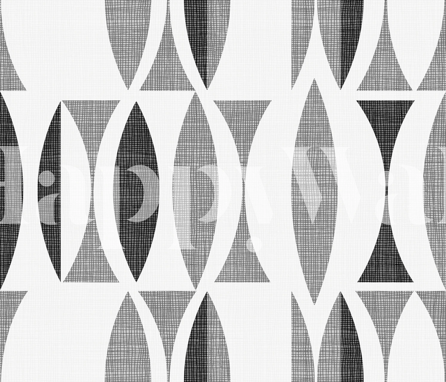 Abstrakte schwarz-weiße Fototapete im Feld-Stil