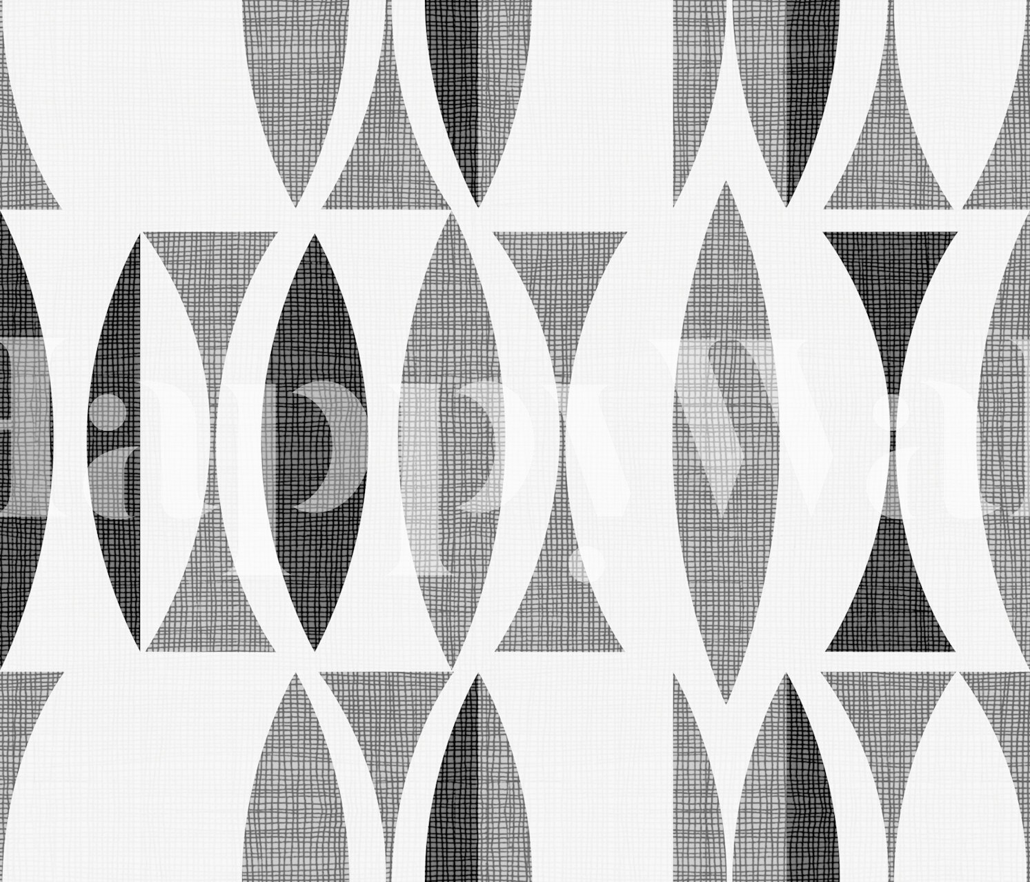 Abstract black and white field-inspired wall mural