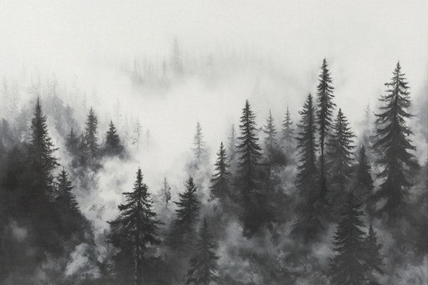 Misty Mountain Black Forest