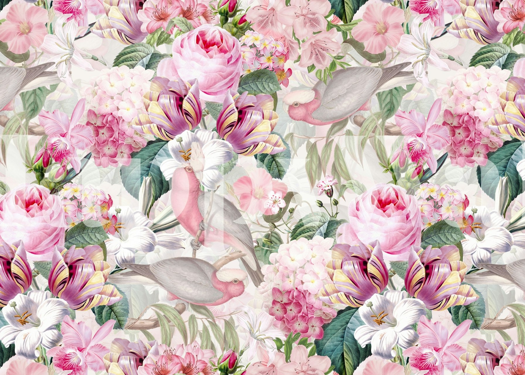 Vintage Baroque Opulent Roses And Cockatoos papel de parede