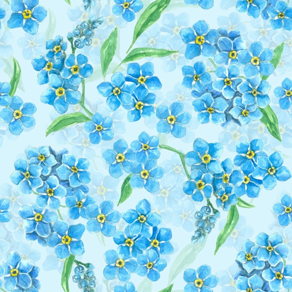 Forget me not flowers on blue