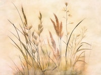 Flower Grass Sun tapete