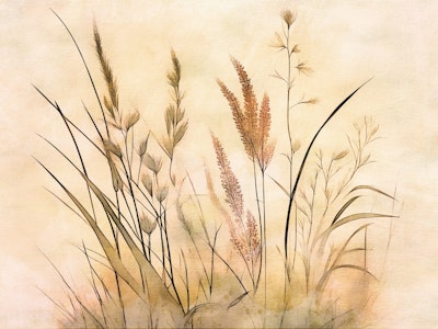 Mural