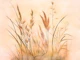 Flower Grass Sun