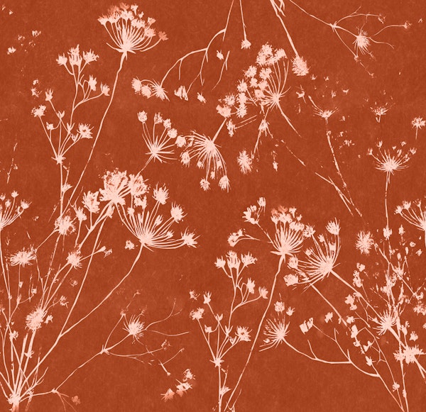 Rustic Floral Watercolor