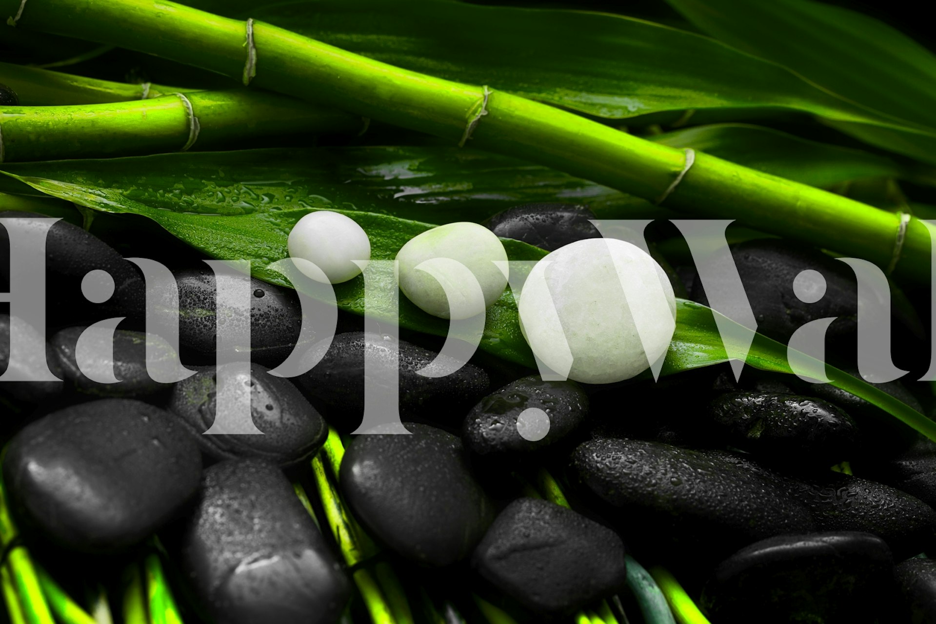Fototapeta inspirovaná zenem s bílými kameny, bambusem a zelenými listy na černém pozadí.