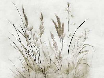 Mural