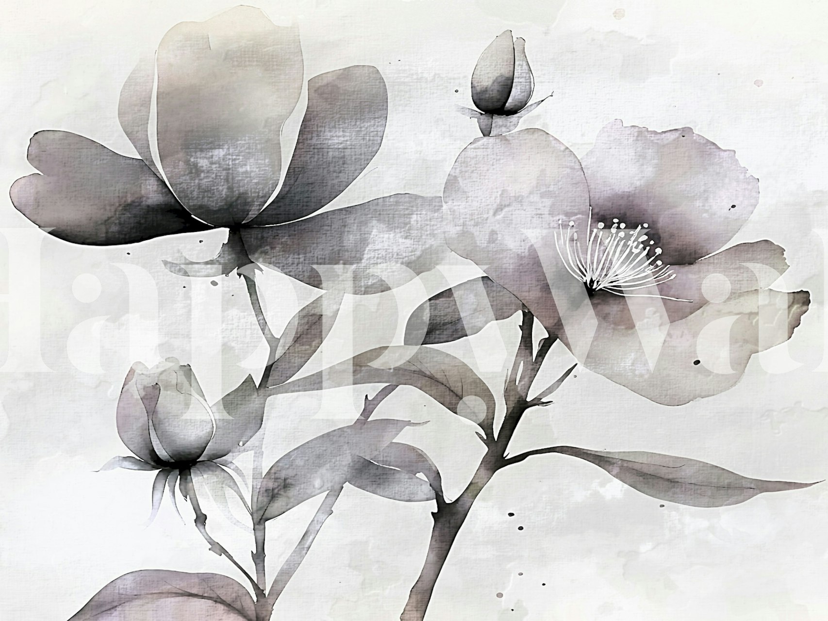 Black and white floral design with soft petals and leaves wallpaper