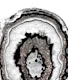 Gray Black White Agate 12a