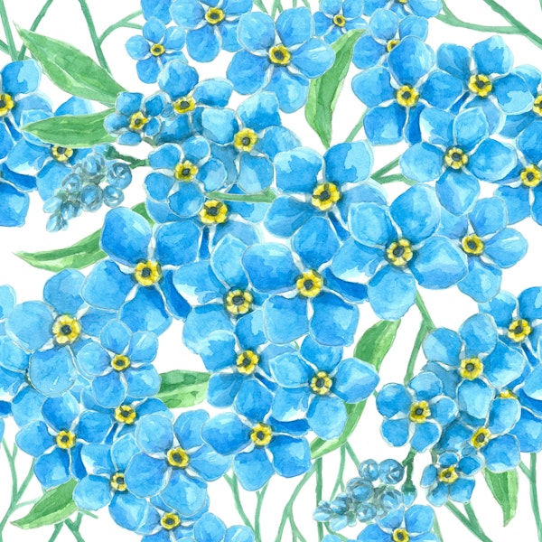 Forget me not bouquet