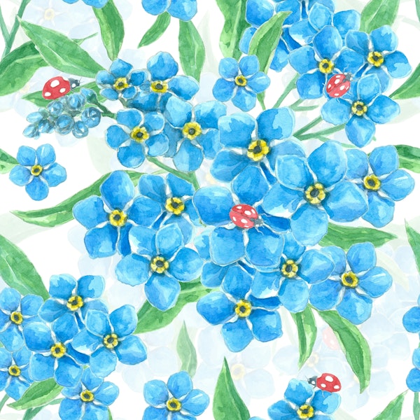 Forget me not and ladybugs