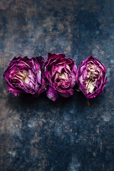 Τοιχογραφία