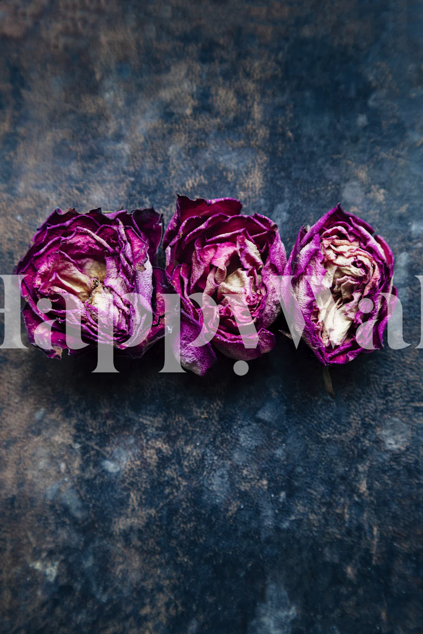 Three rose buds styled in a room