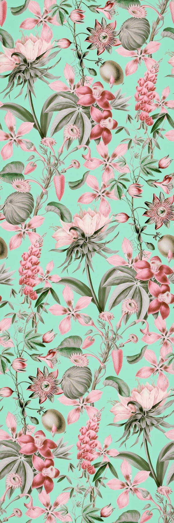 Tropical Bloom Serenade Exotic Flora