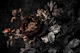 Moody Large Baroque Flower Grunge