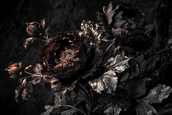 Moody Large Baroque Flower Grunge