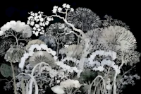 Moody Autumn Flowers carta da parati