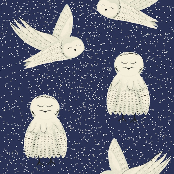 Floaty Snow Owls