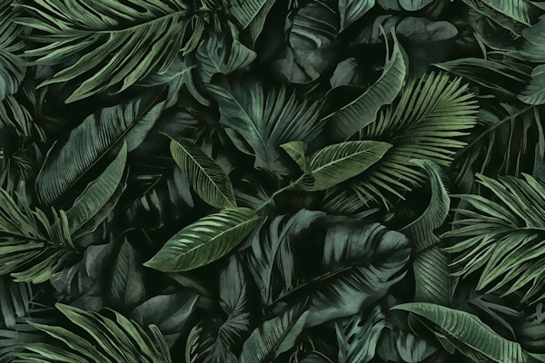 Green Midnight Jungle Tropical Escape