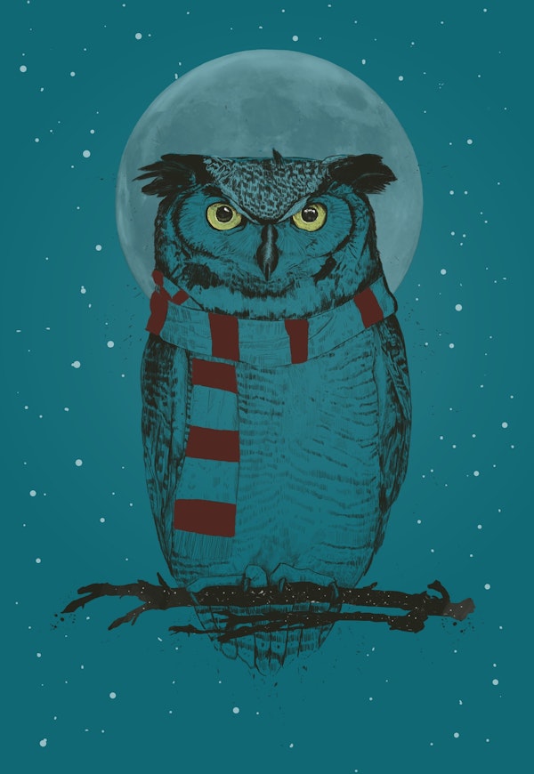 Winter owl II