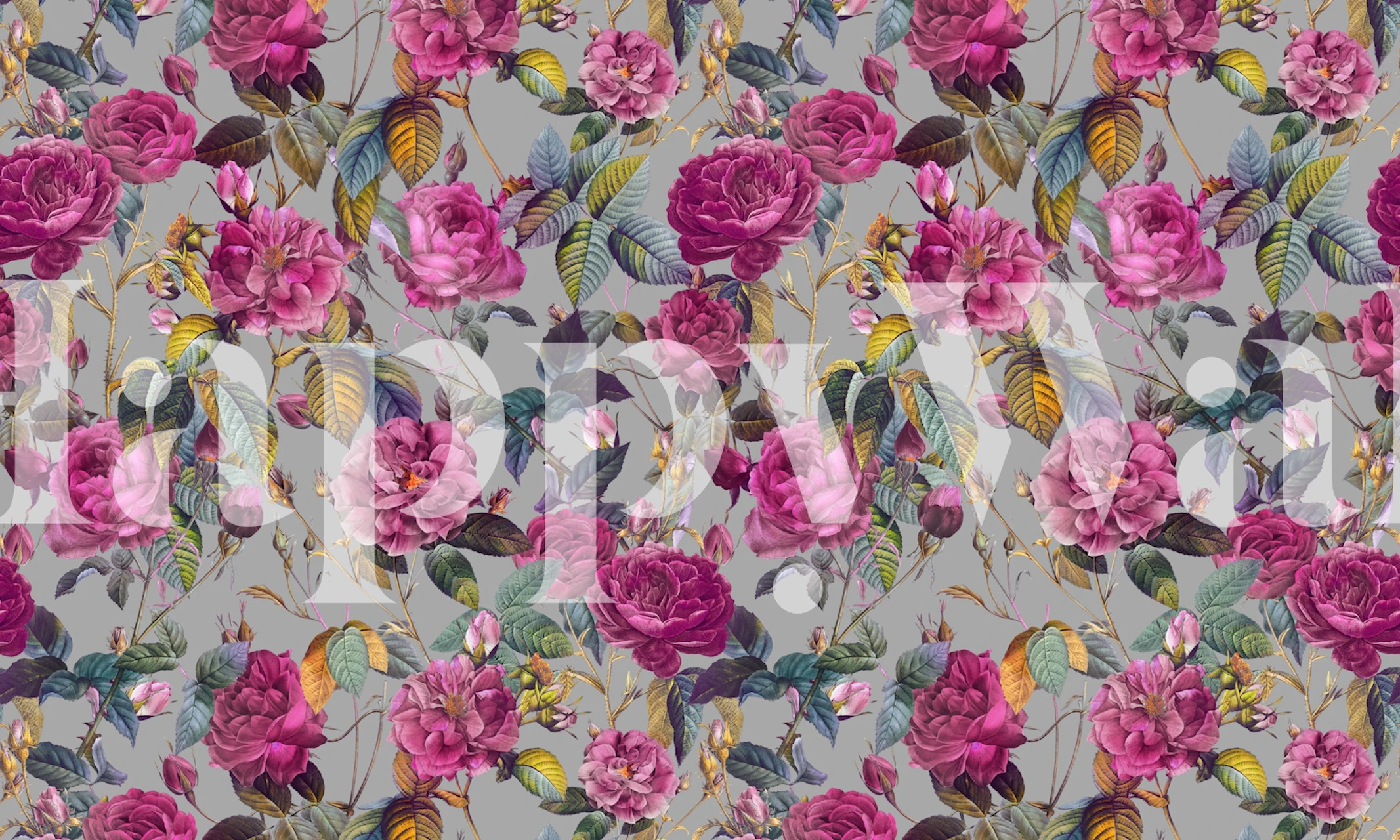 Vintage pink floral wallpaper with roses and green leaves