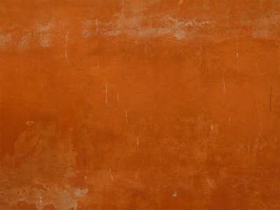 Τοιχογραφία