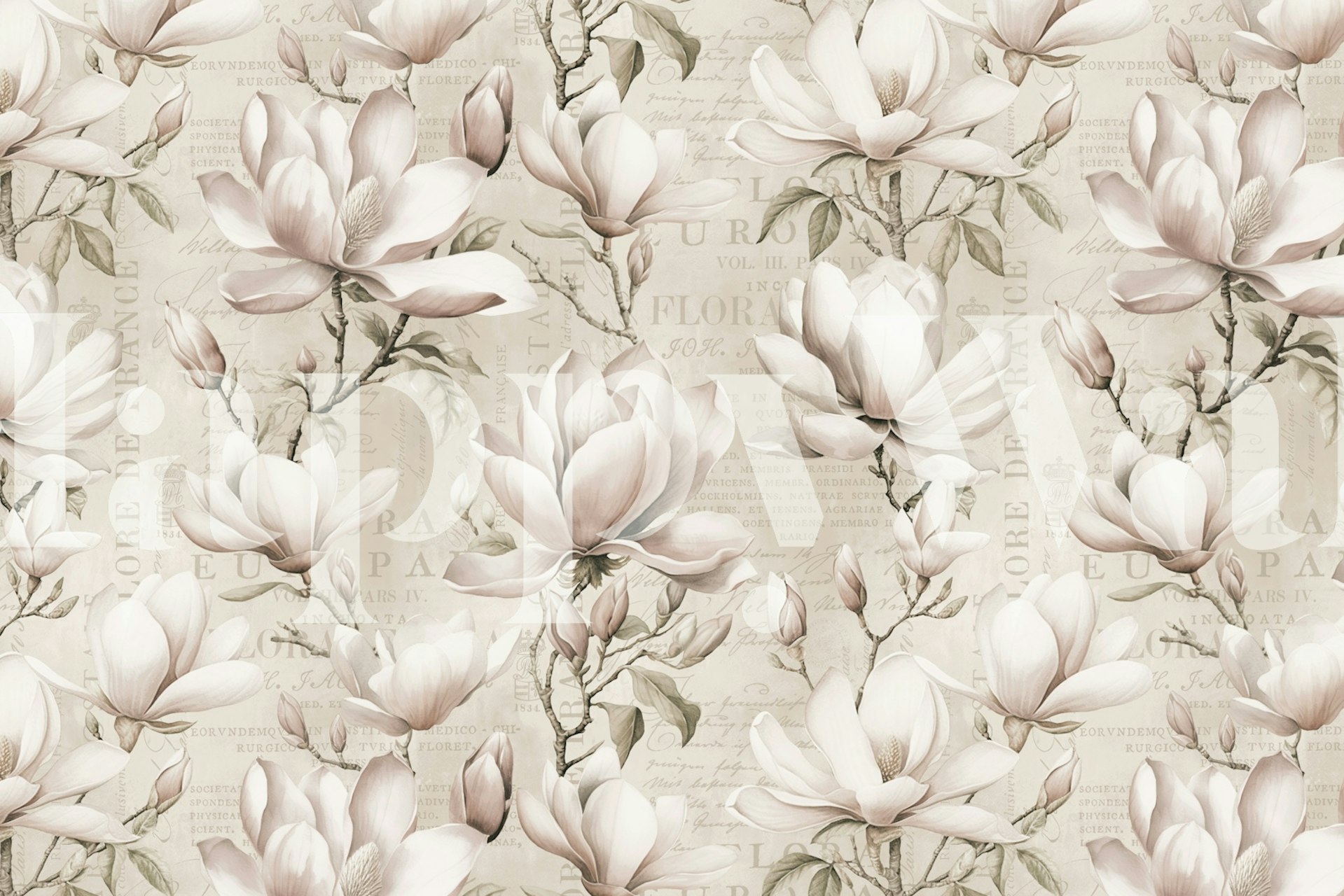 Magnolia Spring Romance wallpaper in a room