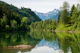 Auwaldsee