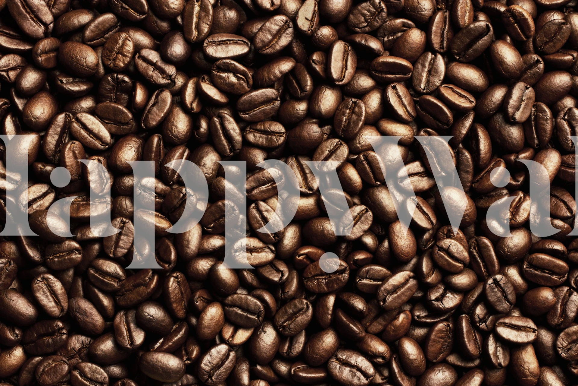Coffee wallpaper showcasing coffee beans
