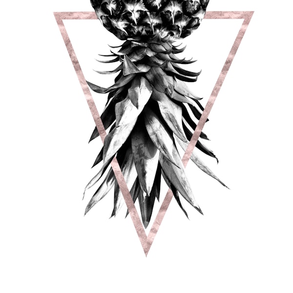 Pineapple Upside Down Geo 4