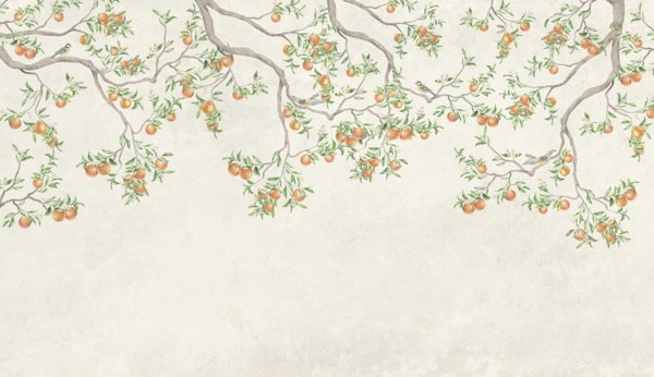 Pastel Tangerine Garden in Spring