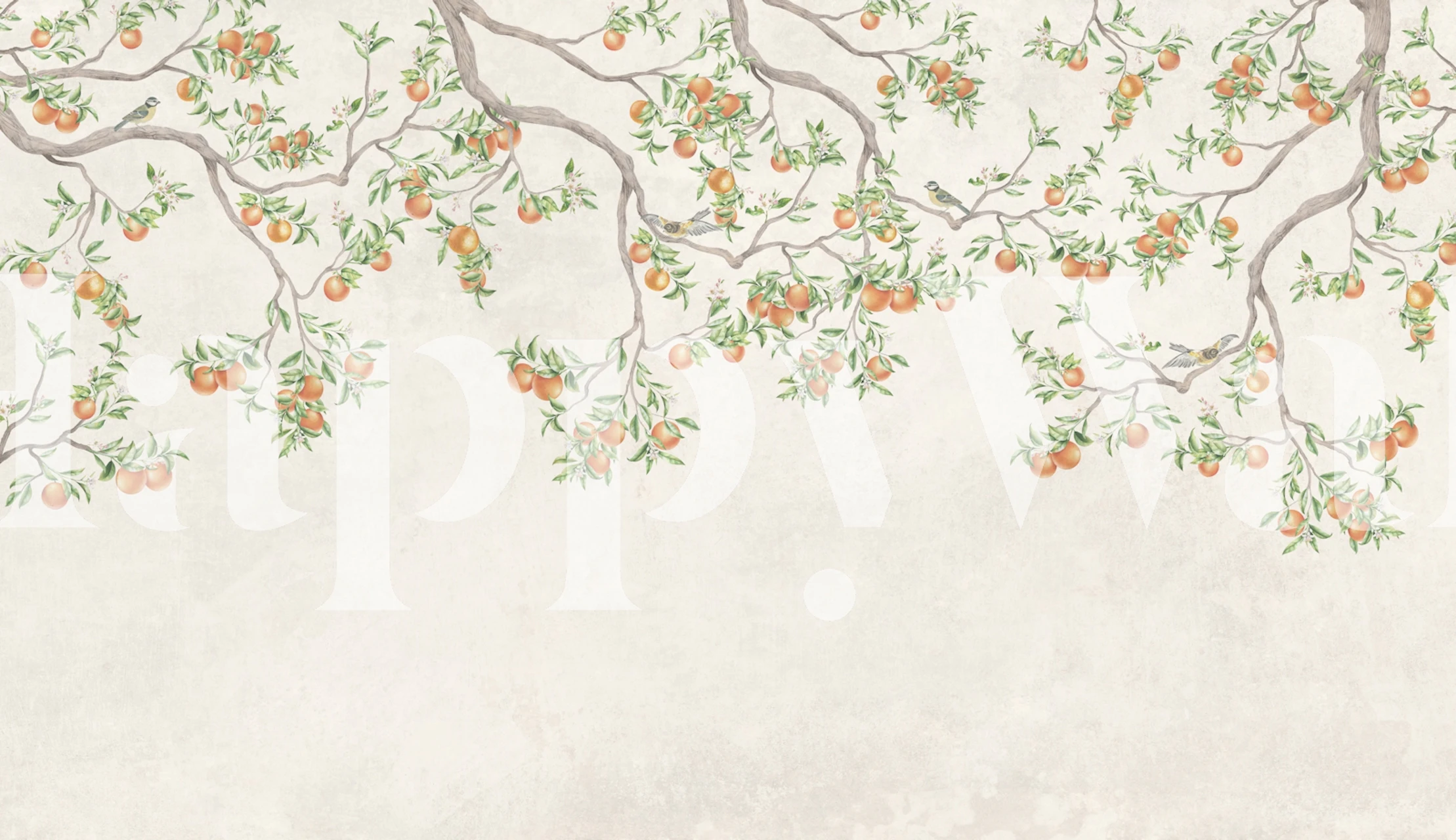 Pastel Tangerine Garden wallpaper in a room