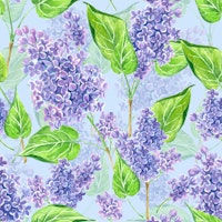 Violet watercolor lilac flowers 3 tapete