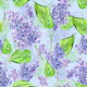 Violet watercolor lilac flowers 3