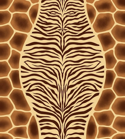 Modèle