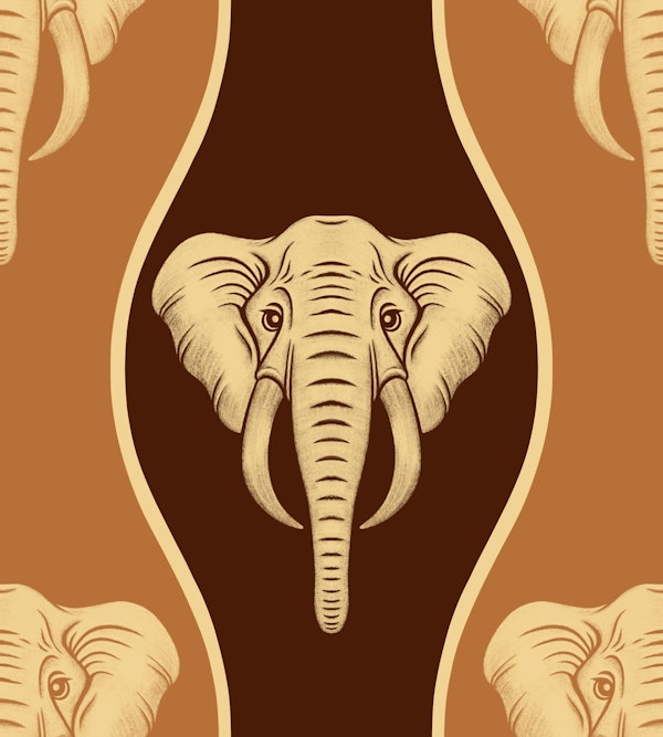 Natural African elephants