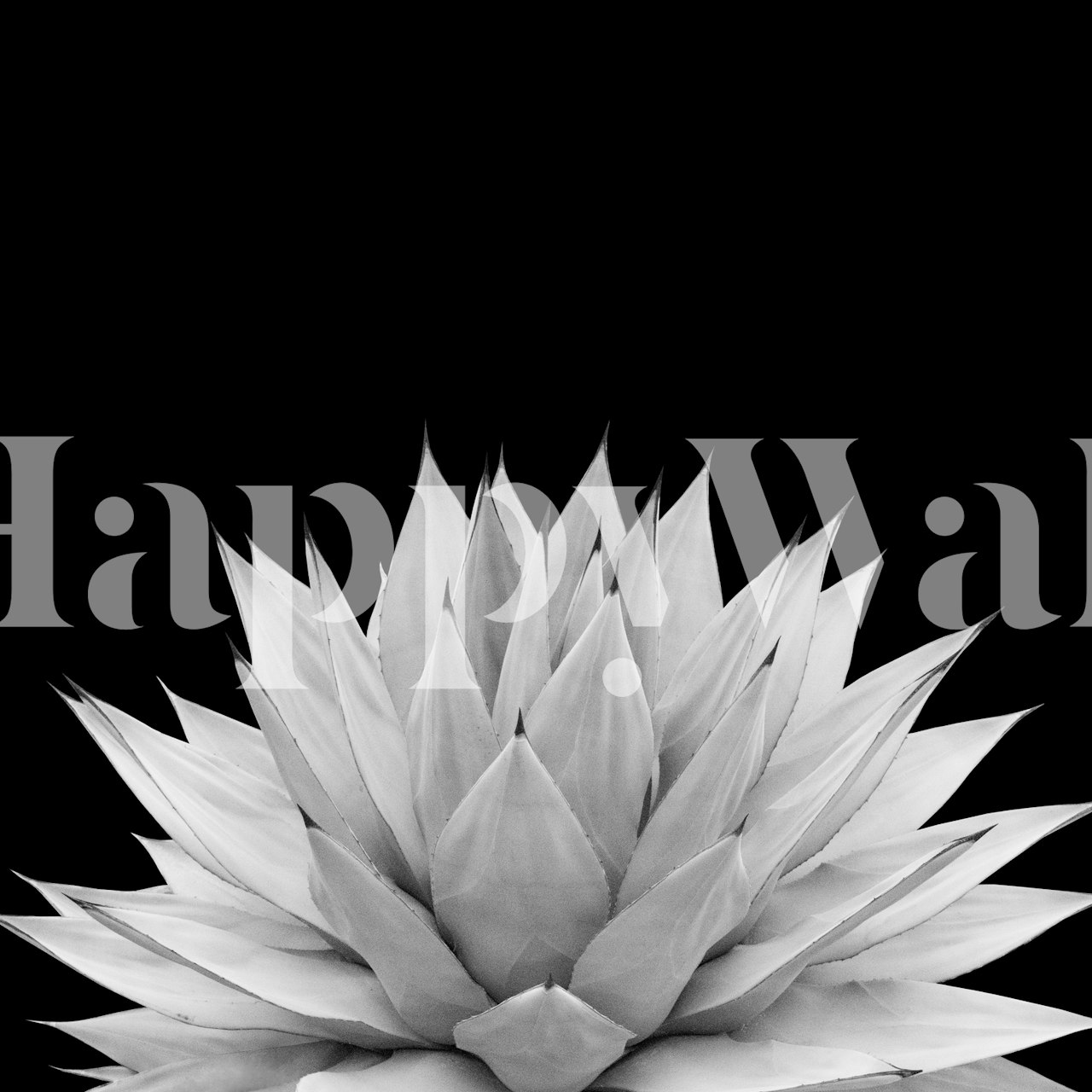 Black and white agave wallpaper in a room