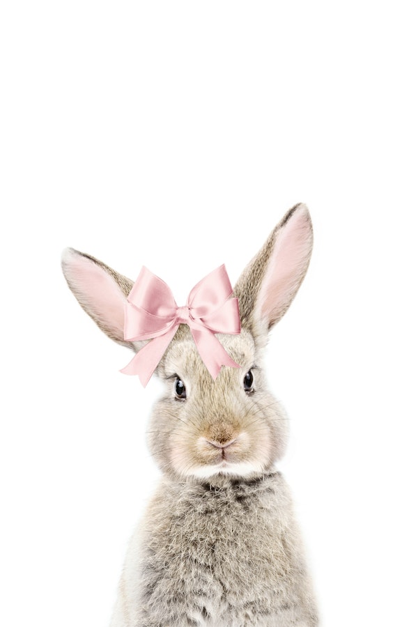 Bunny with a Bow